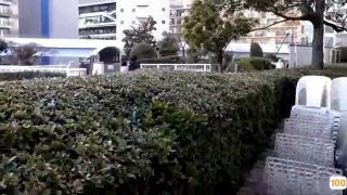 不用付费全部免费看大片软件极品美乳嫩模激情大战非洲性战士-好逼都让黑狗操了